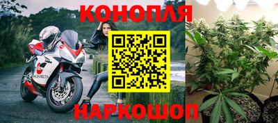 индика Чебаркуль