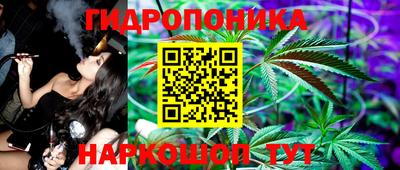 гидра Усть-Илимск