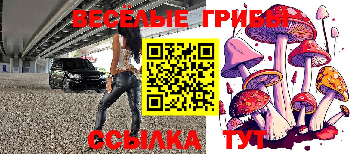 Галлюциногенные грибы прущие грибы  Вход с VPN  Белая Калитва 