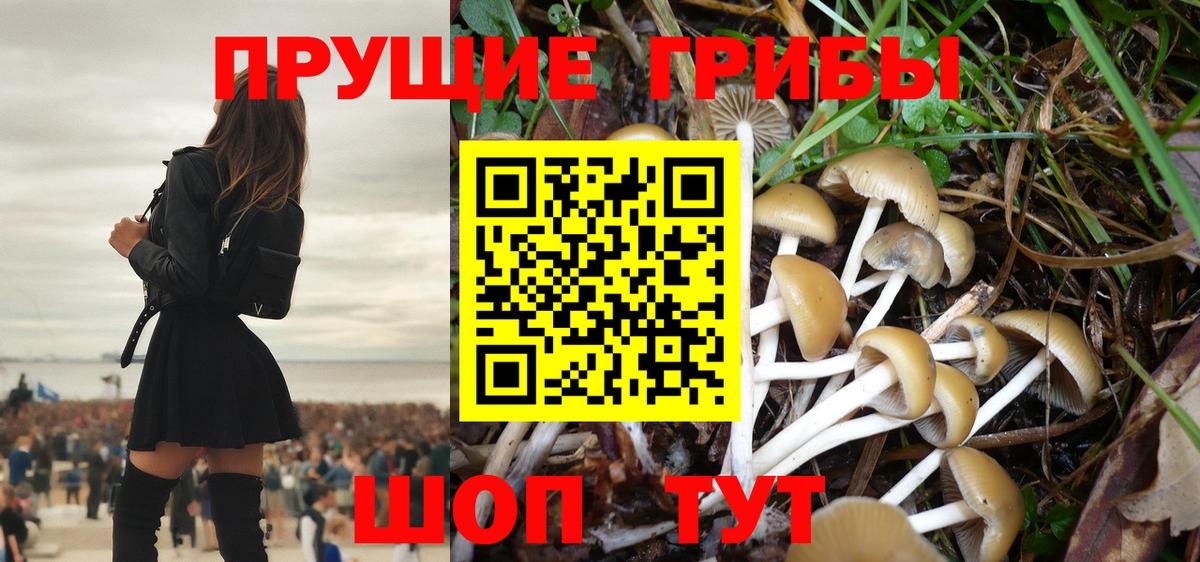 Галлюциногенные грибы Cubensis Белая Калитва